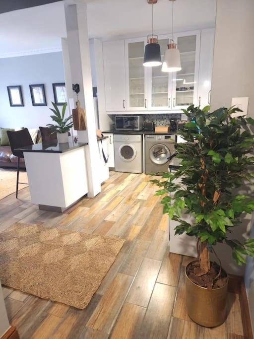 Cape Town, Sea Point, Beautiful 2 Bedroom Apartment @Tucked Away 외부 사진